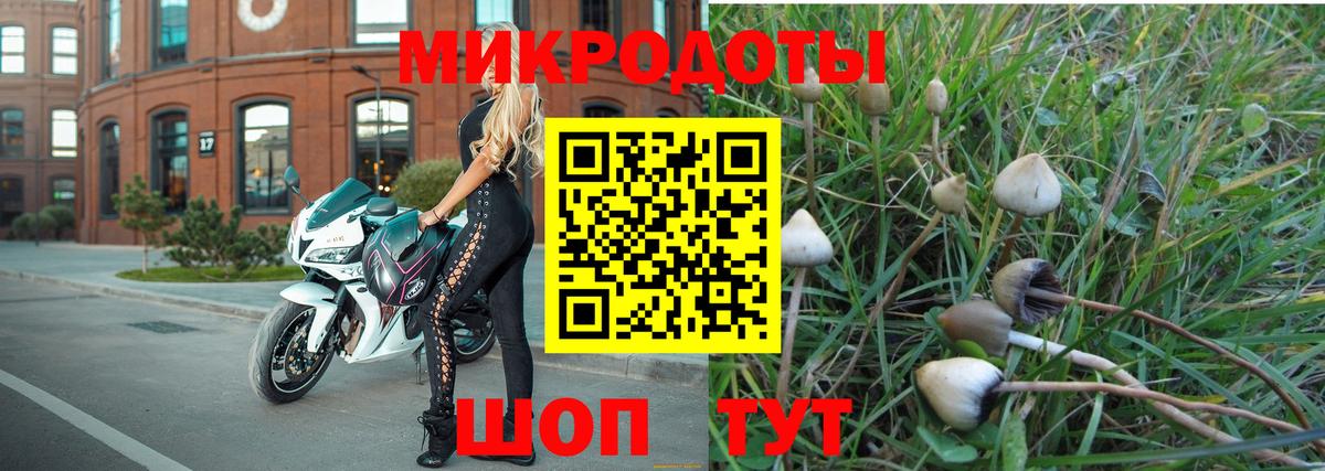 даркнет сайт  Псилоцибиновые грибы ЛСД  Вход с VPN  Казань 