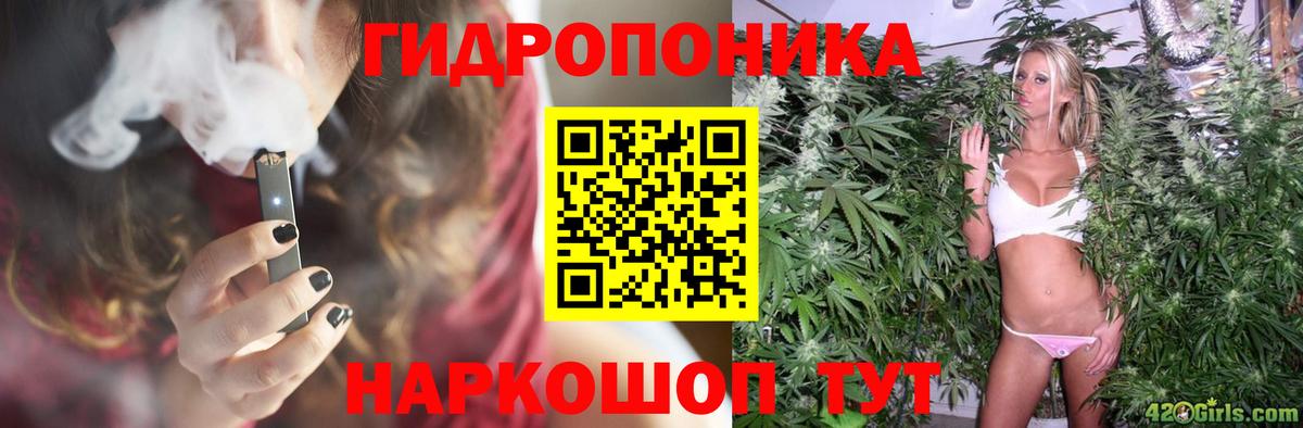 Бошки Шишки марихуана Казань